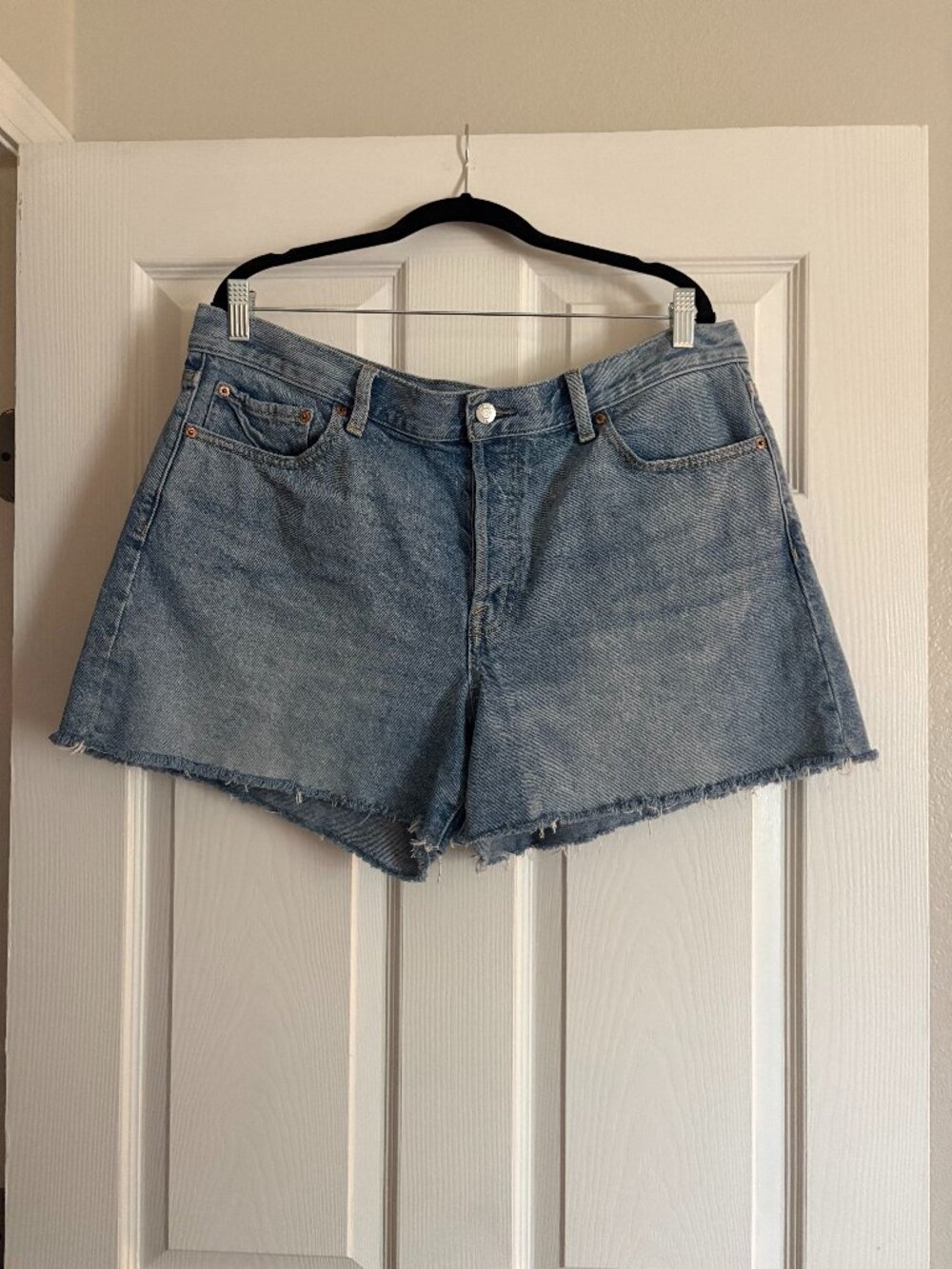 Pistola / Andie High Waist Denim Cutoff Shorts / Notion / 33
